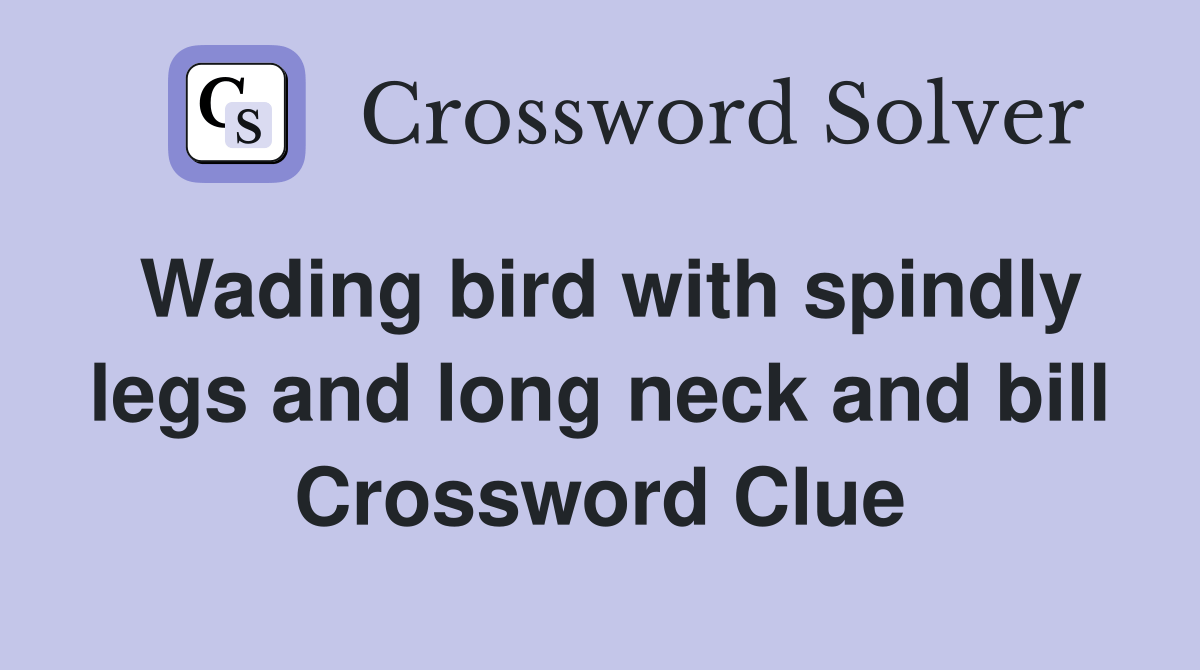 Wading bird with spindly legs and long neck and bill Crossword Clue